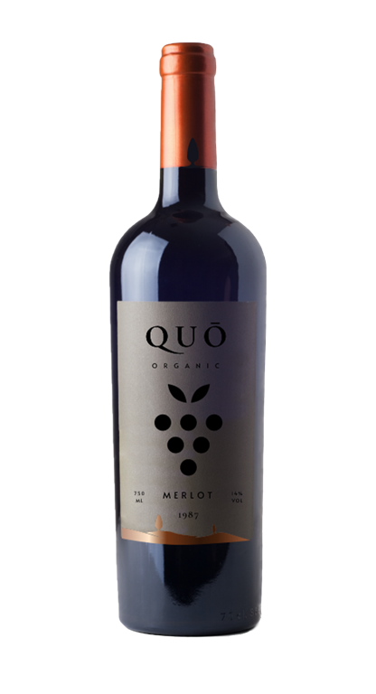 Sangiovese Sierra Folia
