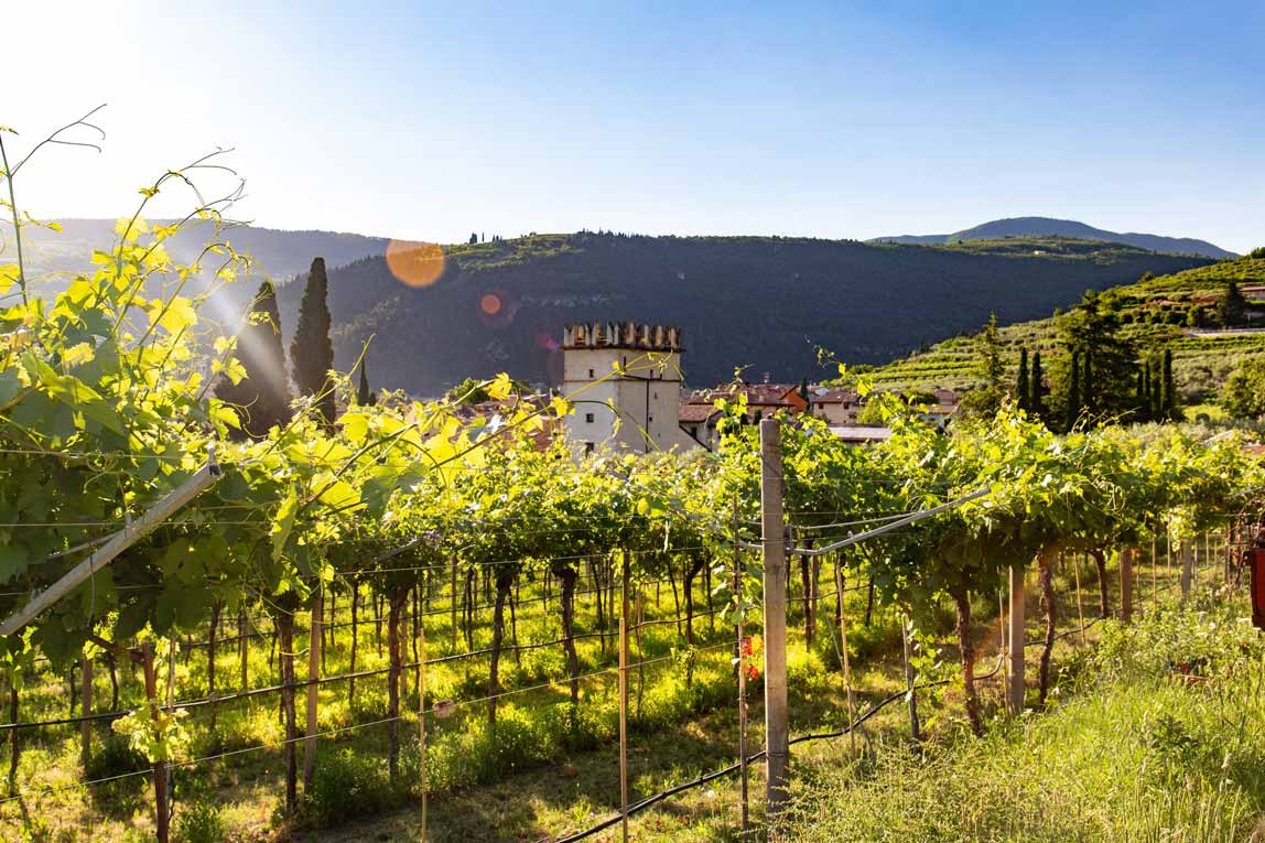 Winery gallery image