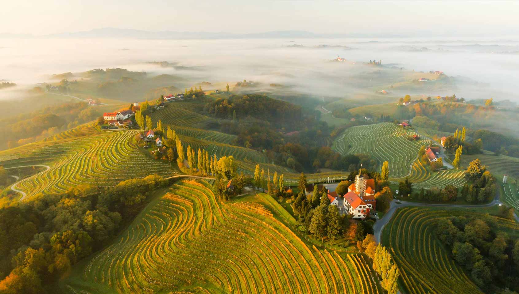 Sustainable winemaking