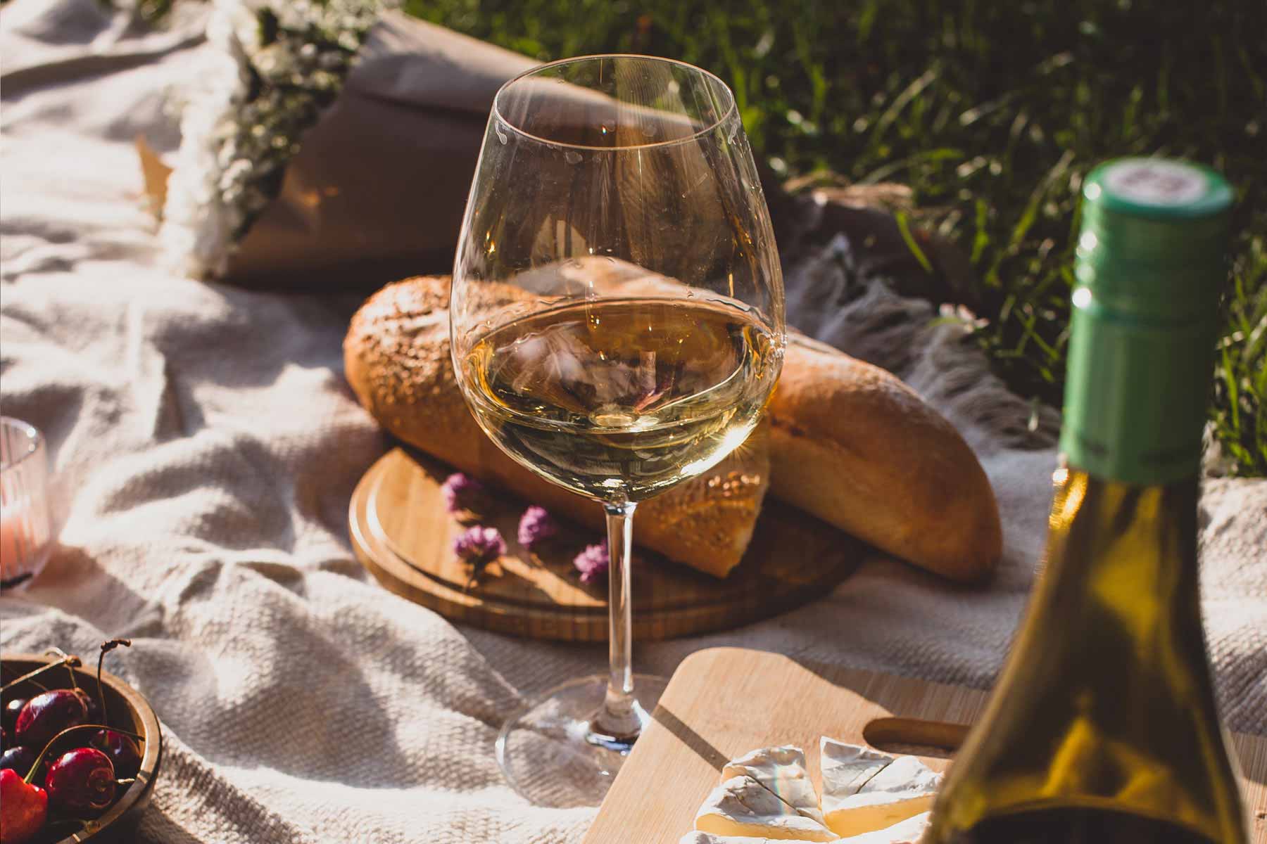 Summer picnic spread laid out in the vineyard