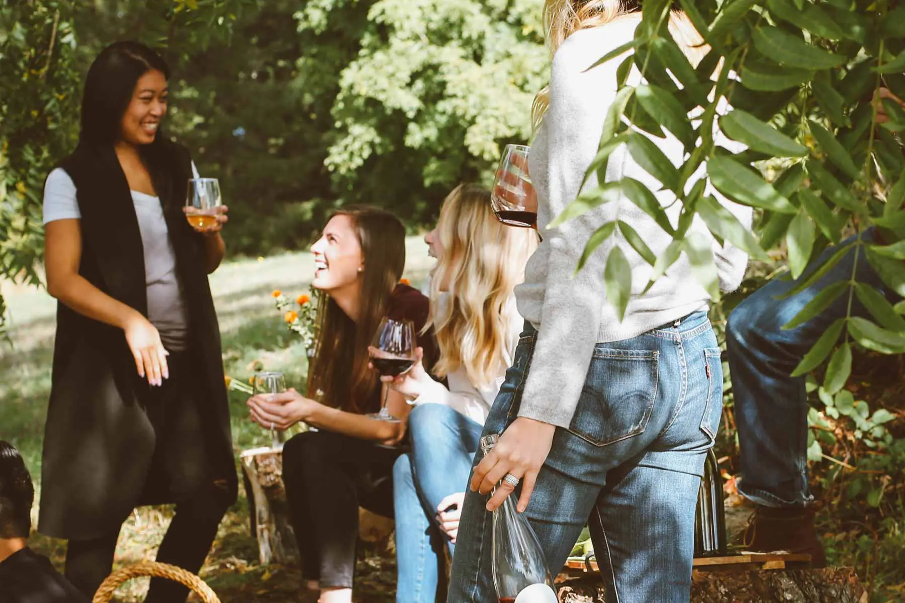 Wine tasting spread on a table