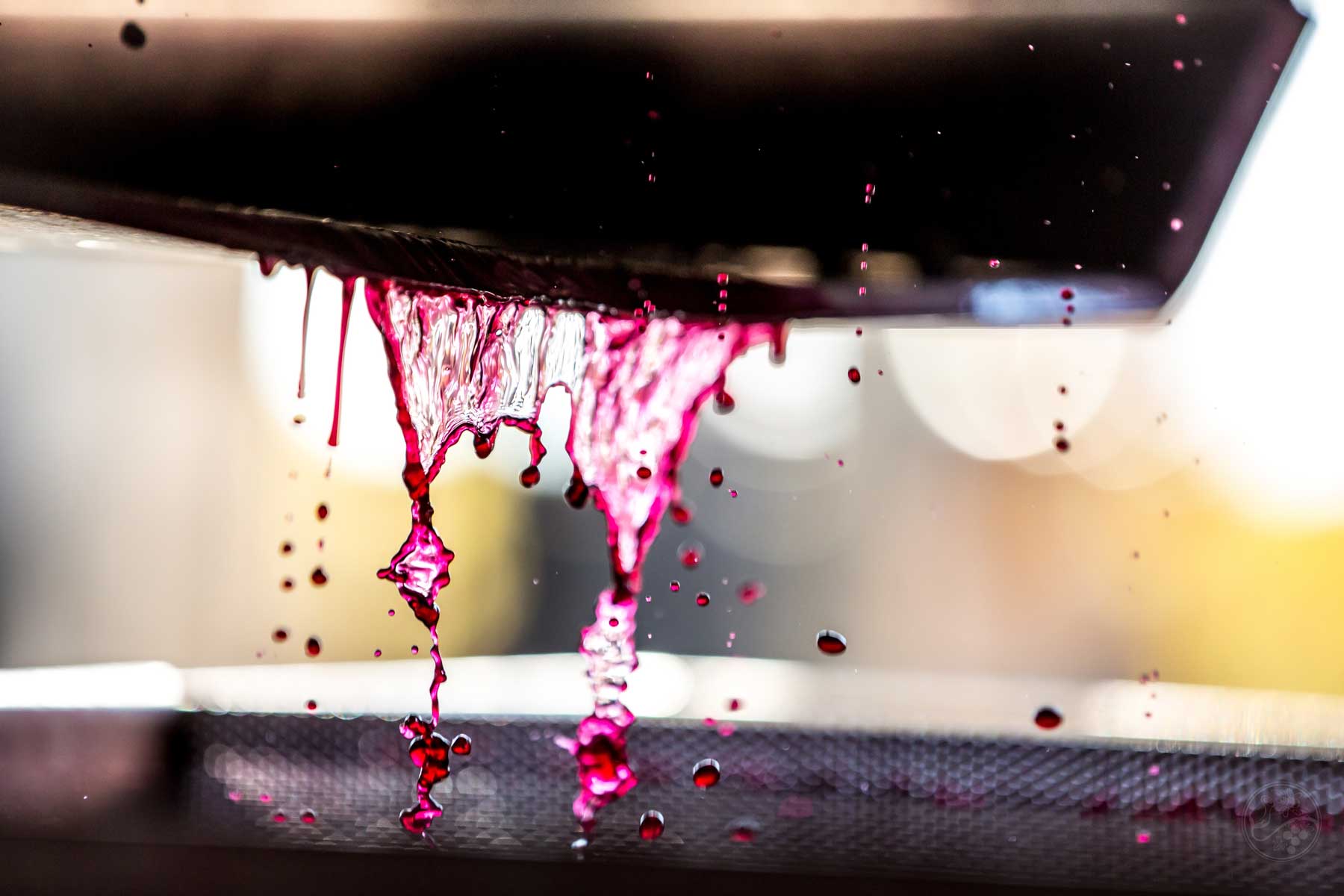 DIY: Winemaking pt.2