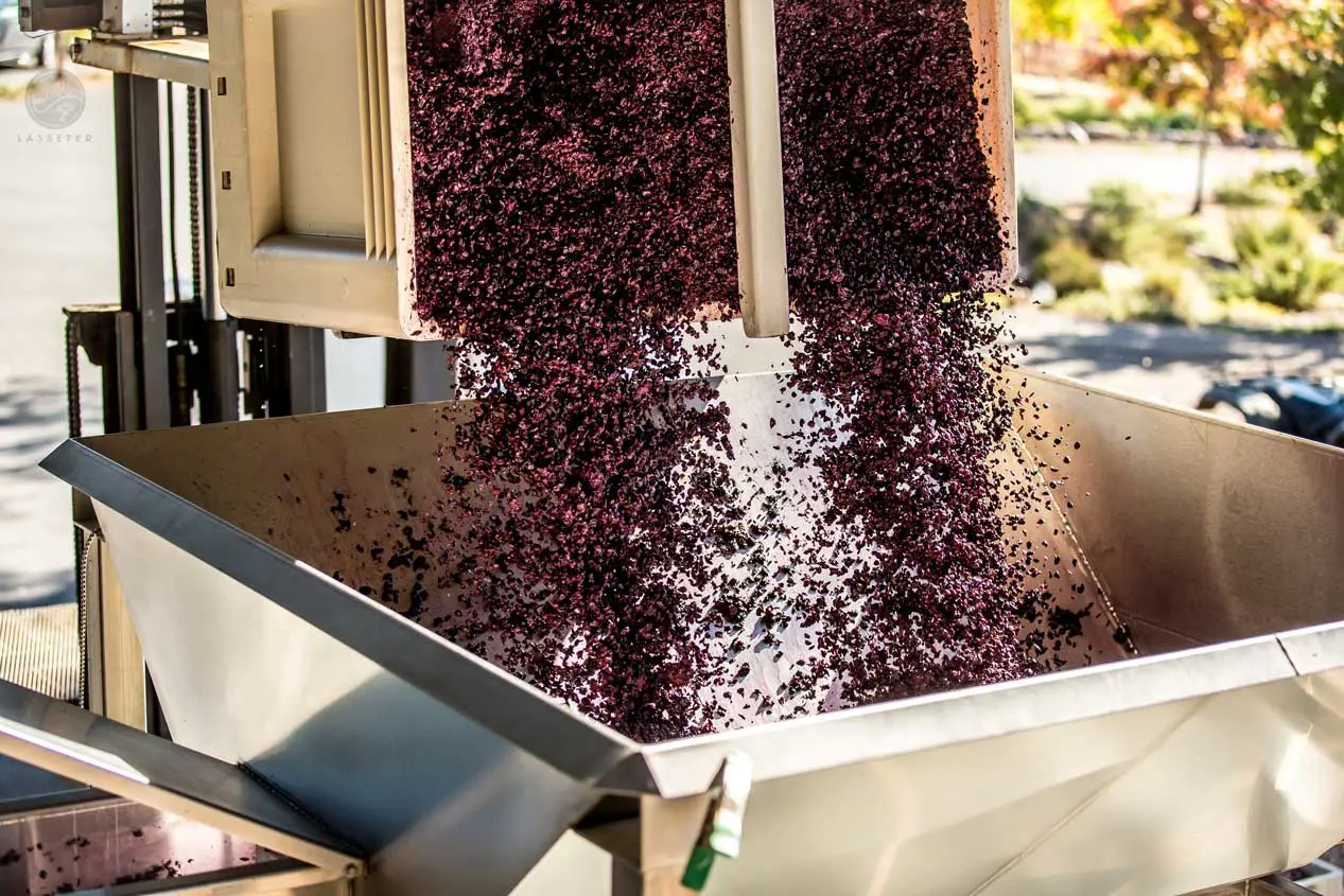 Winery gallery image