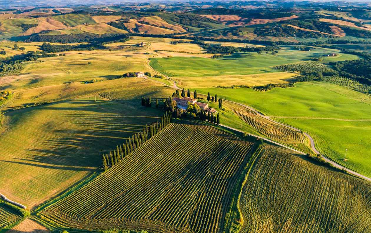 Winery gallery image