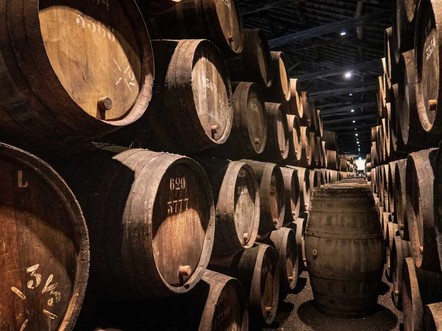 Wine barrels in the cellar