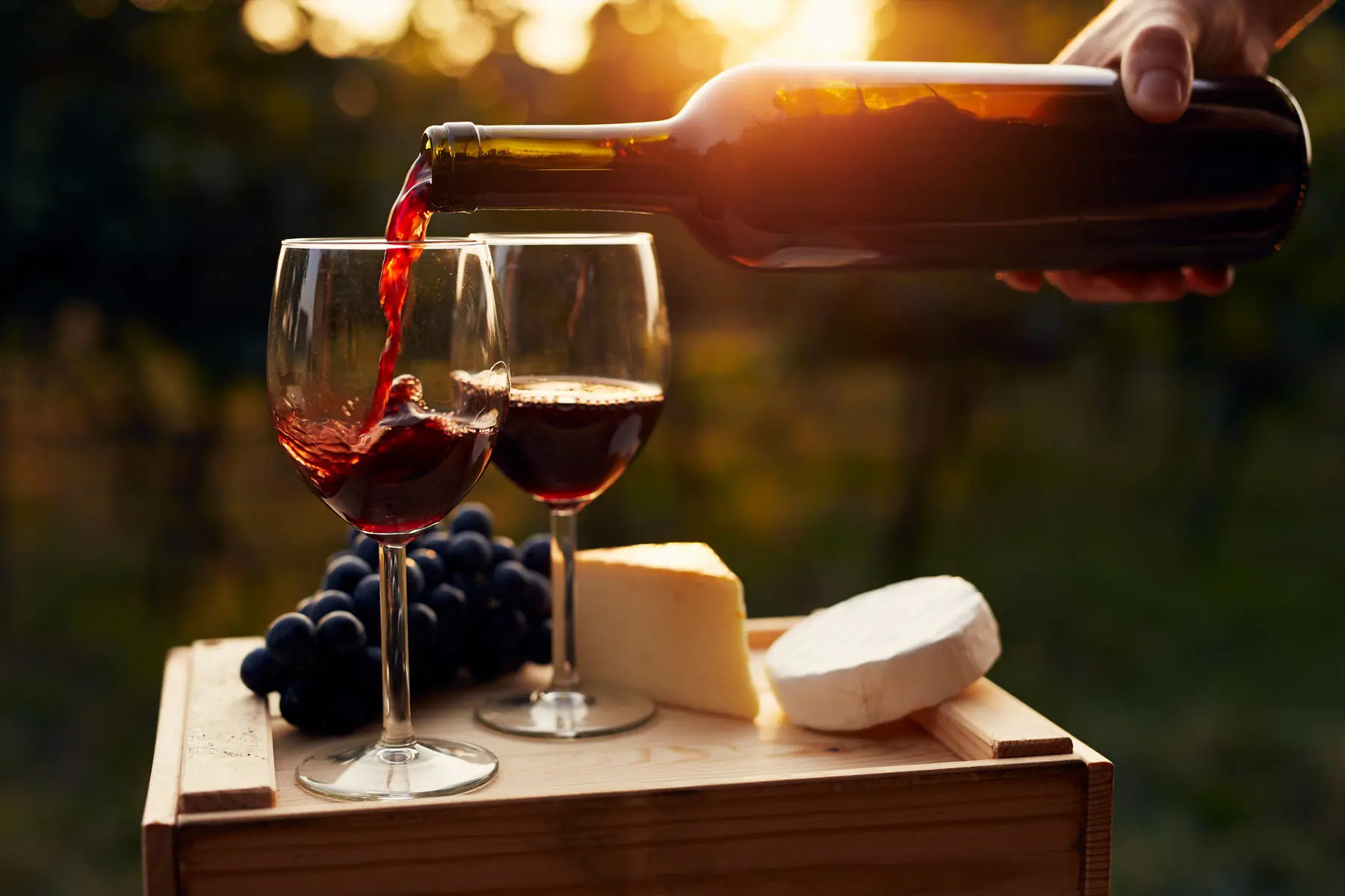Wine and cheese pairing